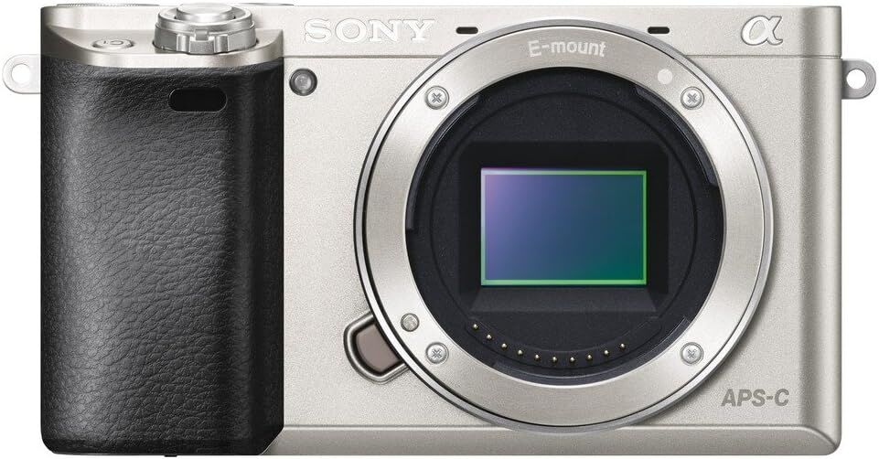 SONY ソニー ミラーレス一眼 α6000 パワーズームレンズキット E PZ 16-50mm F3.5-5.6 OSS シルバー