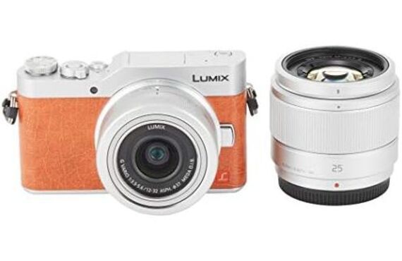 箕面のおすすめ Panasonic パナソニック α6600M 高倍率ズームレンズキット の買取価格 百獣の買取王が高価買い取り