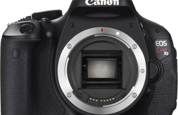 茅ヶ崎のおすすめ Canon キヤノン EOS Kiss X5 ボディ の高い買取価格 売るなら百獣の買取王が高価買い取り