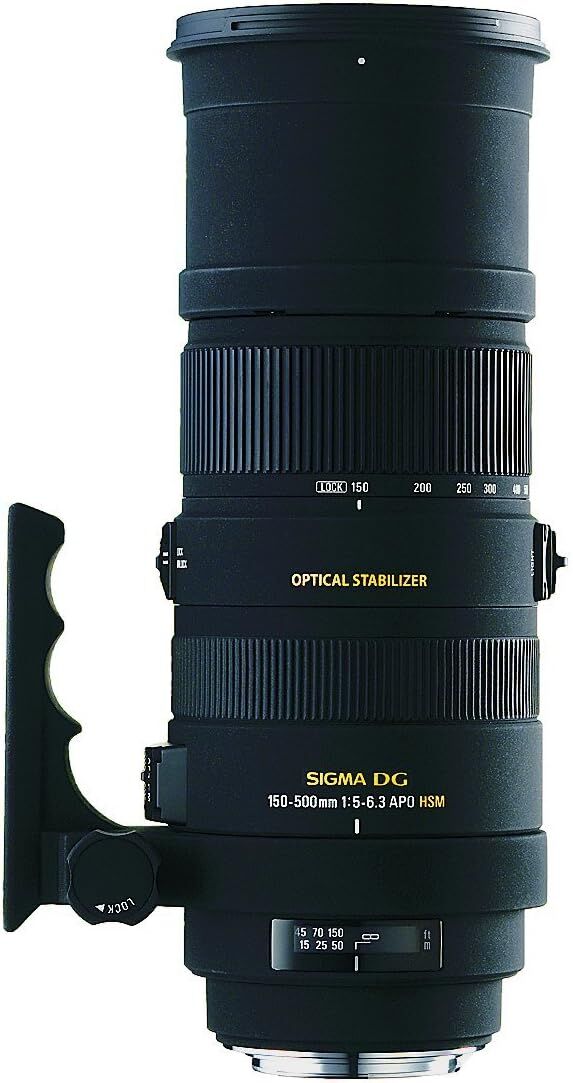SIGMA シグマ 超望遠ズームレンズ APO 150-500mm F5-6.3 DG OS HSM キヤノン用 フルサイズ対応