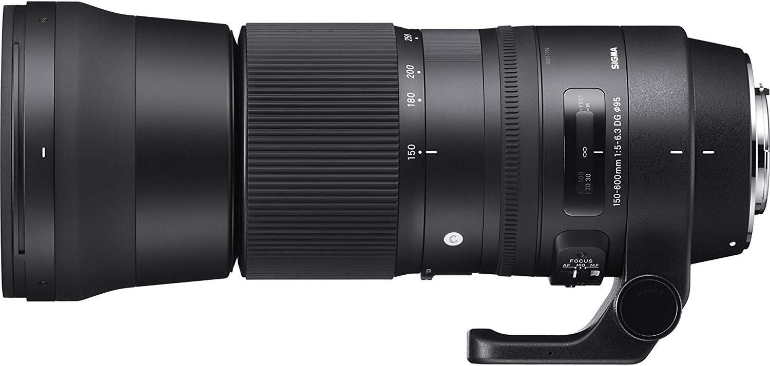 SIGMA シグマ 150-600mm F5-6.3 DG OS HSM | Contemporary C015 | Canon EFマウント | Full-Size/Large-Format