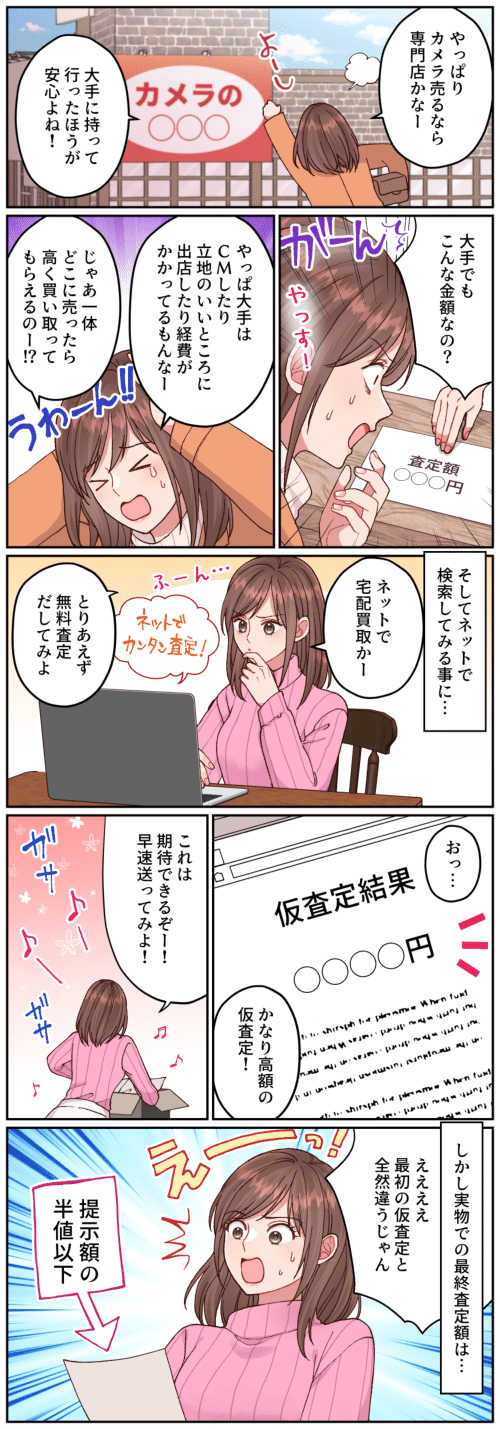 百獣の買取王カメライオン