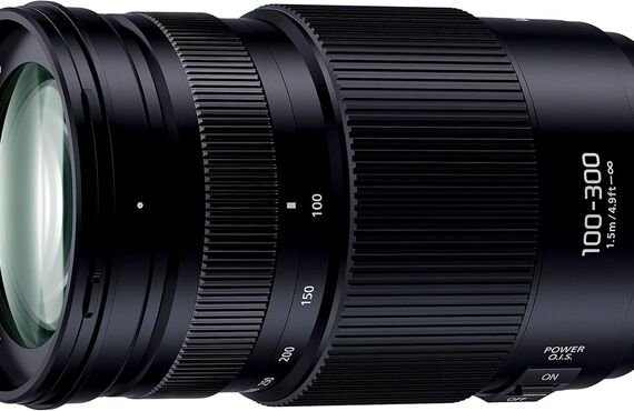 茅ヶ崎のおすすめ Panasonic G VARIO 100-300mm/F4.0-5.6 II /POWER O.I.S. の買取価格 百獣の買取王が高価買い取り