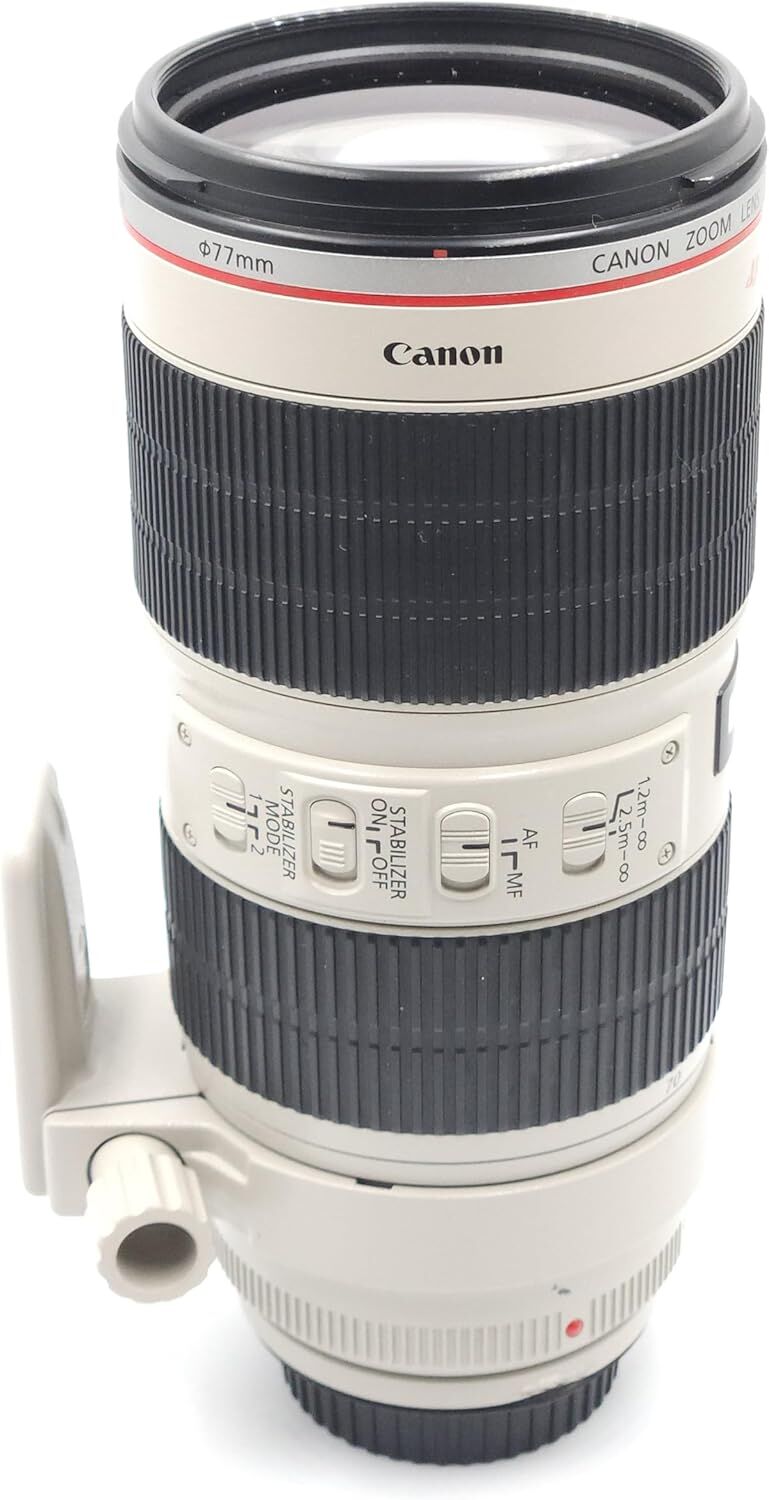 Canon キヤノン 望遠ズームレンズ EF70-200mm F2.8L IS II USM フルサイズ対応