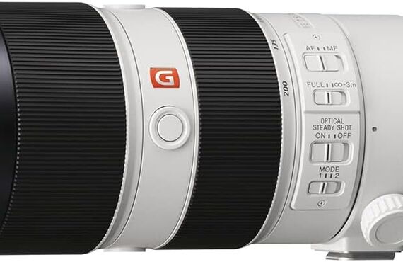 鳥取のおすすめ SONY ソニー FE 70-200mm F2.8 GM OSS Eマウント の高い買取価格 売るなら百獣の買取王が高価買い取り