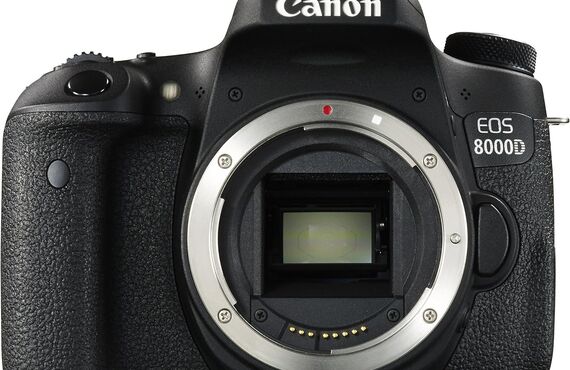 茅ヶ崎のおすすめ Canon キヤノン EOS 8000D ボディ の高い買取価格 カメラ売るなら百獣の買取王が高価買い取り