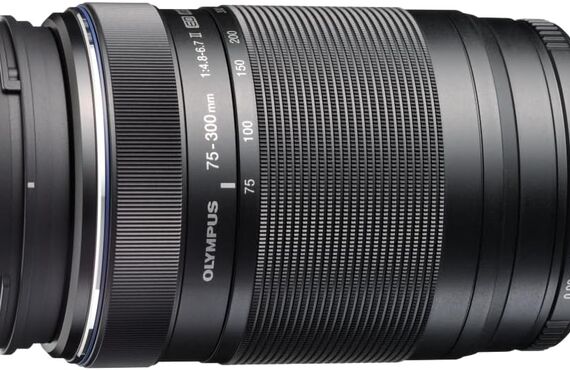 兵庫のおすすめ OLYMPUS オリンパス M.ZUIKO DIGITAL ED 75-300mm F4.8-6.7 IIの買取価格 百獣の買取王が高価買い取り