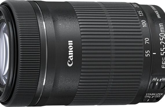 西宮のおすすめ Canon キヤノン EF-S55-250mm F4-5.6 IS STM APS-C対応 の高い買取価格 百獣の買取王が高価買い取り