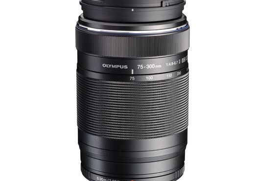 神戸のおすすめ OLYMPUS オリンパス M.ZUIKO DIGITAL ED 75-300mmの高い買取価格 売るなら百獣の買取王 カメライオン 高価買い取り