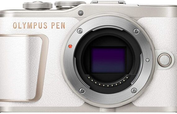 神戸のおすすめOLYMPUS オリンパス PEN E-PL10の高い買取価格 売るなら百獣の買取王 カメライオンが高価買い取り