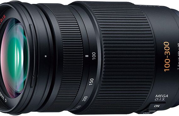 西宮のおすすめ Panasonic パナソニック ルミックス  100-300mm の高価買取価格 売るならカメラ買取王 カメライオン