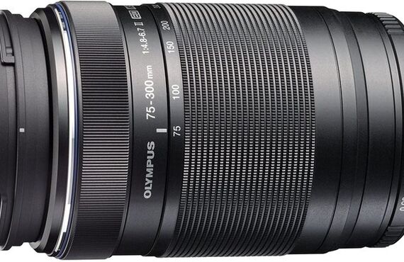 姫路のおすすめ OLYMPUS オリンパス 75-300mm F4.8-6.7 II の高い買取価格 売るなら百獣の買取王が高価買い取り 