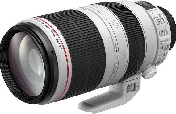 明石のおすすめ Canon キャノン EF100-400mm F4.5-5.6L の高い買取価格 売るなら百獣の買取王が高価買い取り 
