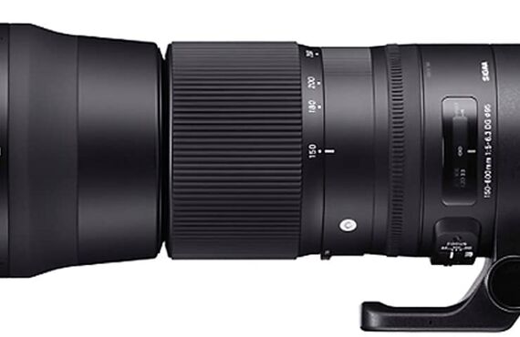 姫路のおすすめ SIGMA シグマ Contemporary 150-600mm F5-6.3 の高い買取価格 売るなら百獣の買取王が高価買い取り 