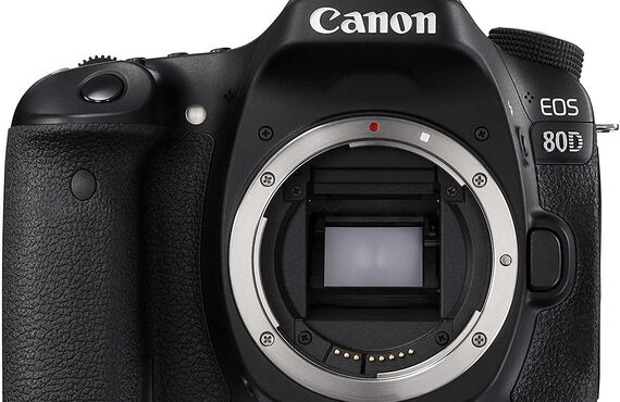 尼崎のおすすめ canon キャノン EOS 80D ボディの高い買取価格 売るなら百獣のカメラ買取 カメライオンが高価買い取り
