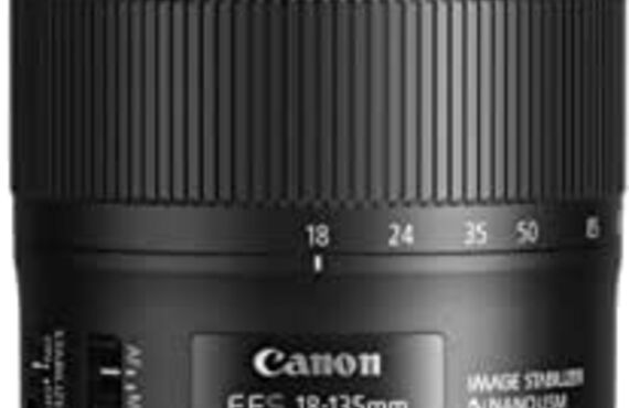 カメラレンタル神戸のおすすめレンズ・ビデオカメラ買取王カメライオンEF-S18-135mm F3.5-5.6 IS USM 高倍率ズーム