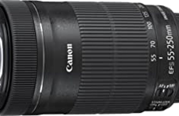 カメラレンタル神戸のおすすめレンズ・ビデオカメラ買取王カメライオンCANON EF-S 55-250mm F4-5.6 望遠ズームレンズ
