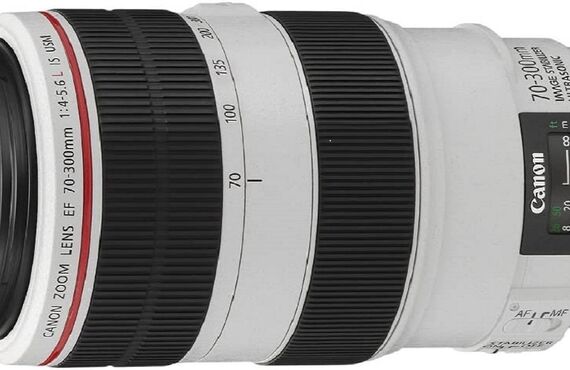 カメラレンタル神戸のおすすめレンズ・ビデオカメラ買取王カメライオンCANON EF70-300mm F4-5.6L IS USM 望遠ズーム