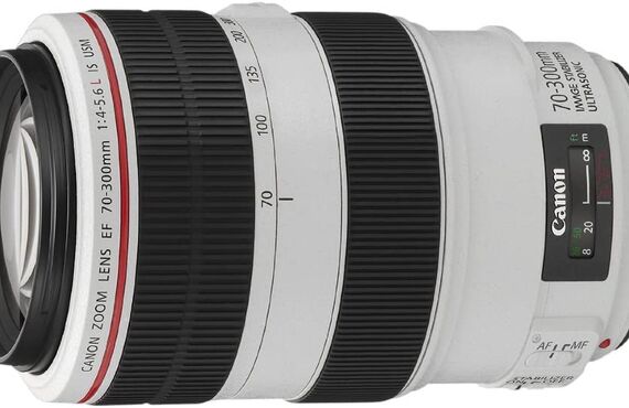 姫路のおすすめ Canon キャノン EF70-300mm F4-5.6L IS USM の高い買取価格 売るなら百獣の買取王が高価買い取り 