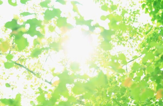 カメラレンタル神戸のおすすめレンズ・ビデオカメラ買取王カメライオンArt 50mm F1.4 DG HSM 単焦点レンズ CANON EF