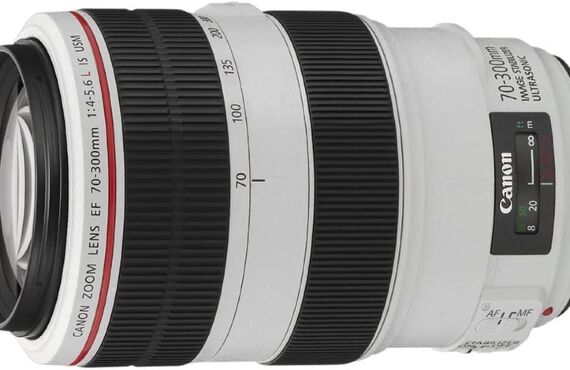 梅田のおすすめ Canon キャノン EF70-300mm F4-5.6Lの高い買取価格 百獣のカメラ買取王 カメライオンが高価買い取り